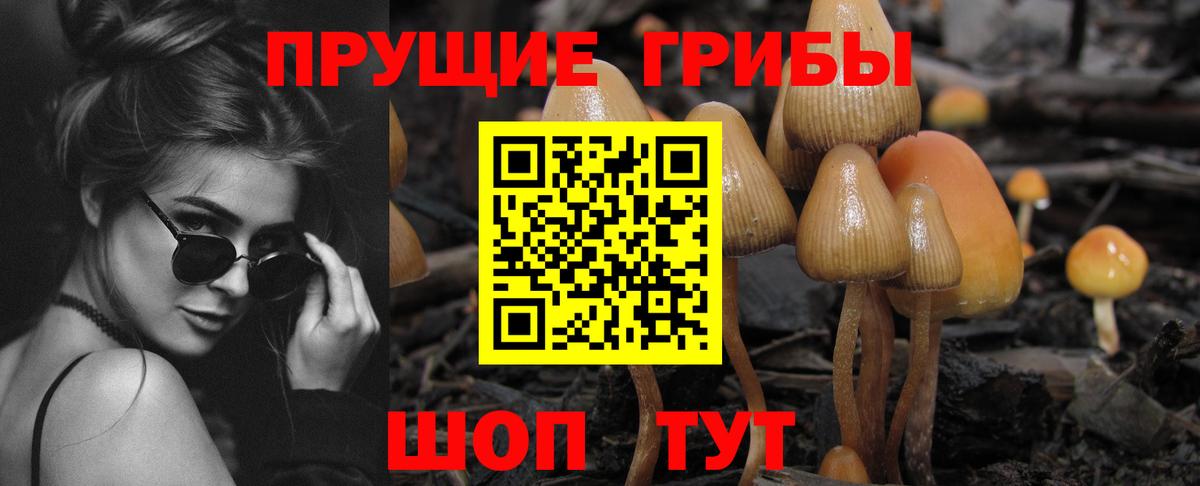 Галлюциногенные грибы мухоморы Туймазы